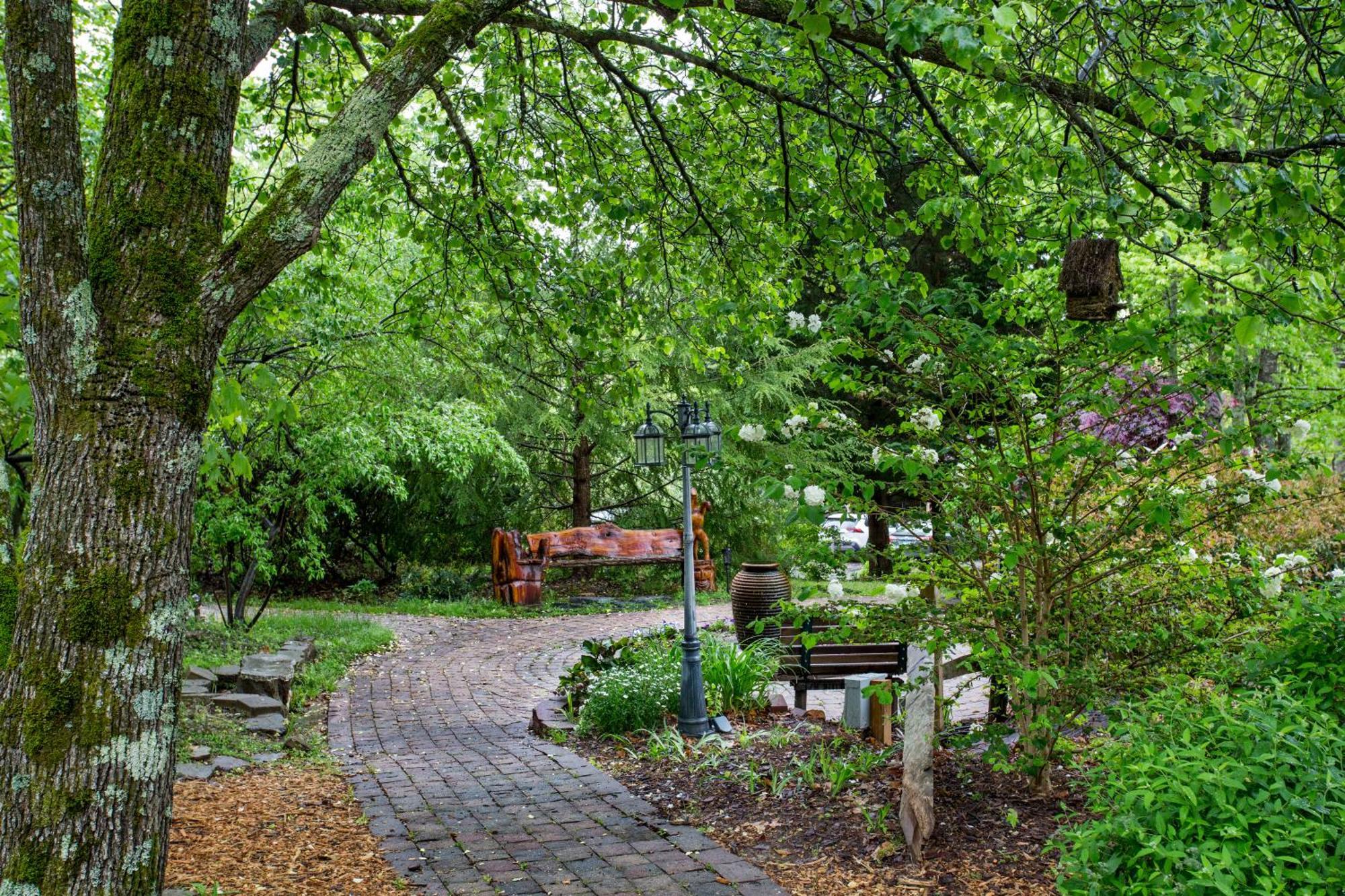 Forrest Hills Mountain Resort Dahlonega Kültér fotó