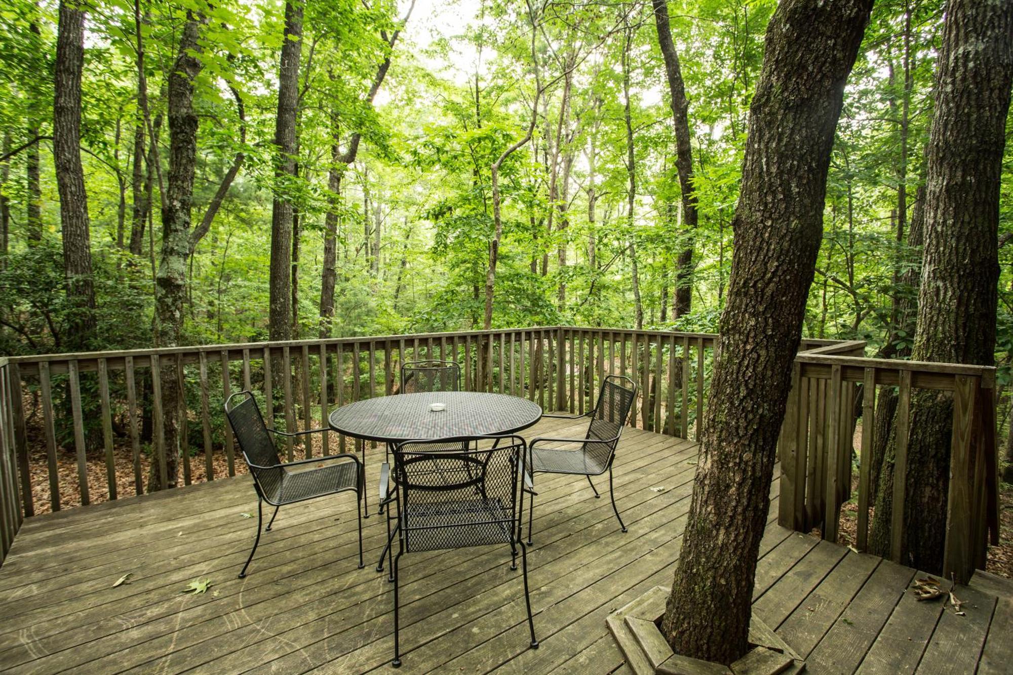 Forrest Hills Mountain Resort Dahlonega Szoba fotó