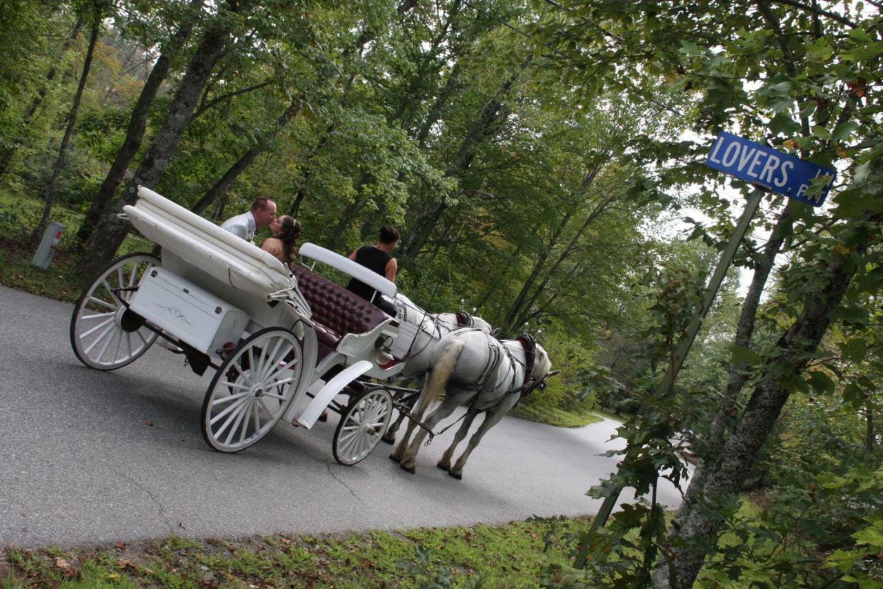 Forrest Hills Mountain Resort Dahlonega Kültér fotó